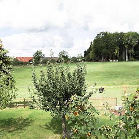 Naturidyl Schneckenbuch Weißensberg 외부 사진
